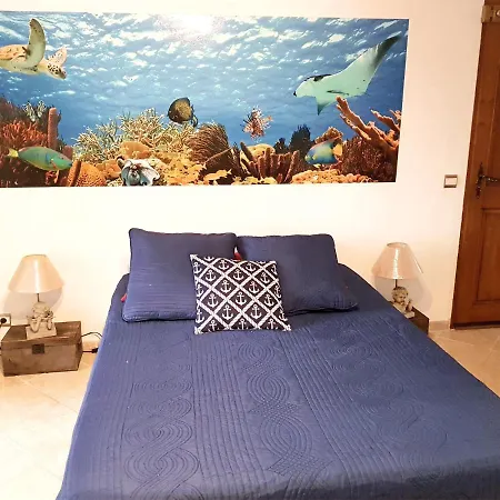 Apartamento Plage Vue Mer *